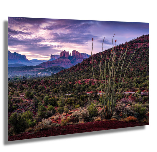 Sedona Print - Cathedral Rock Sunrise Ocotillo, Southwest Home Decor Photography on Premium Photo Paper, Canvas, Acrylic, or Metal Art