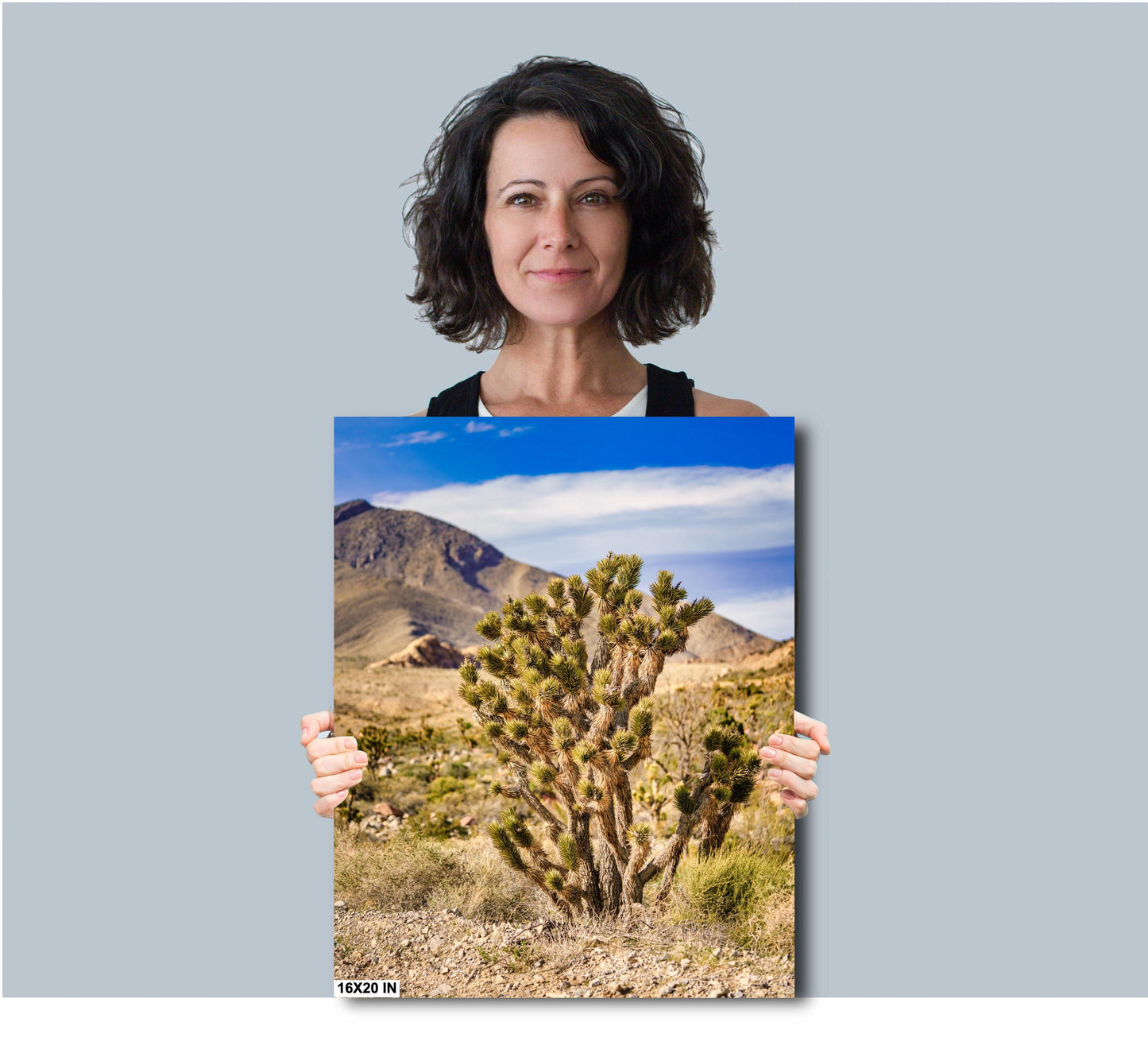 Joshua Tree Nevada Desert Landscape Fine Art Photography Print - Wall Decor on Various Media