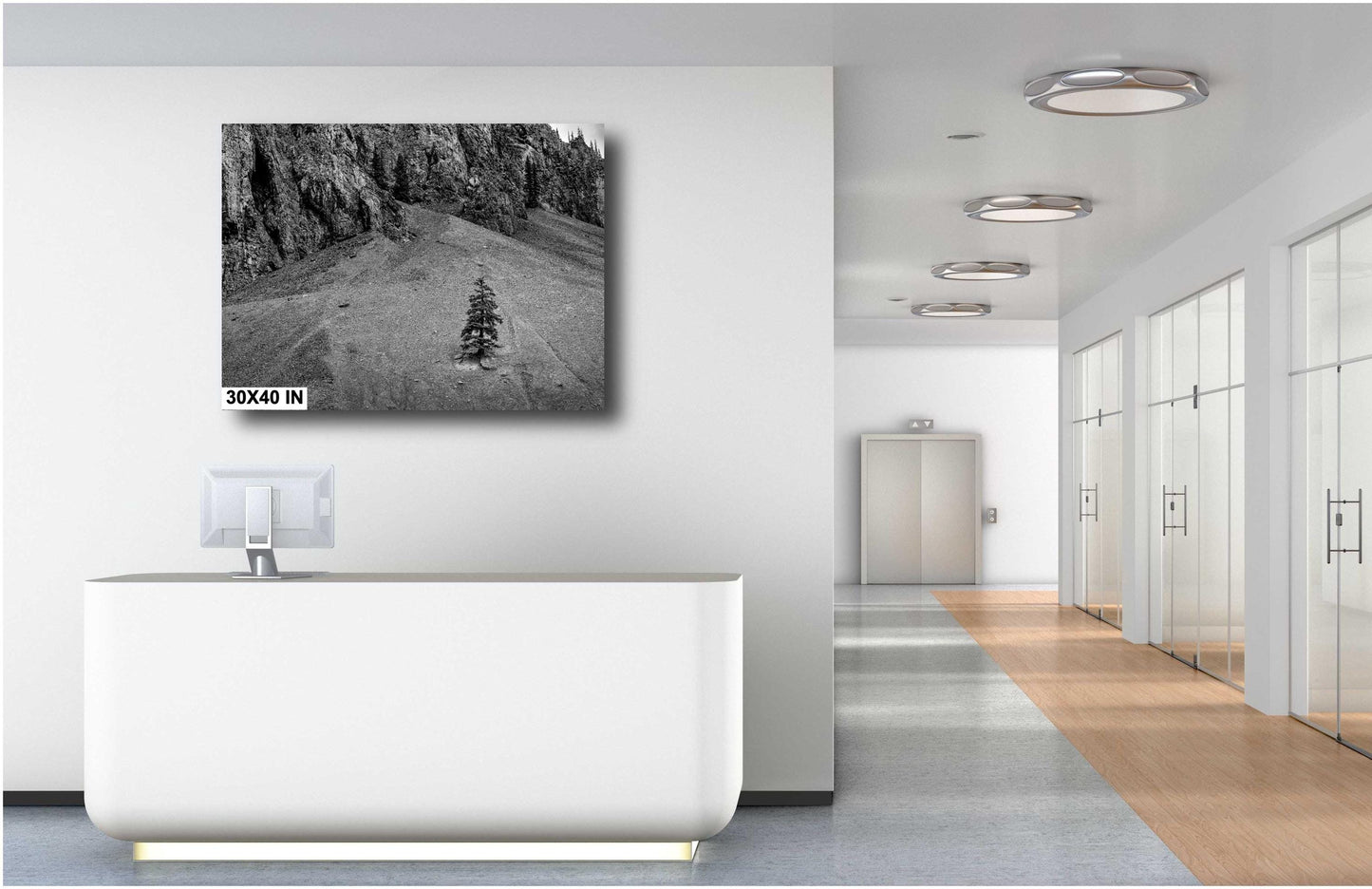 Mountain Wall Art - Lone Pine Tree in Rocky Mountains: Black & White Nature Photography Wall Art Print - Colorado Alpine Loop