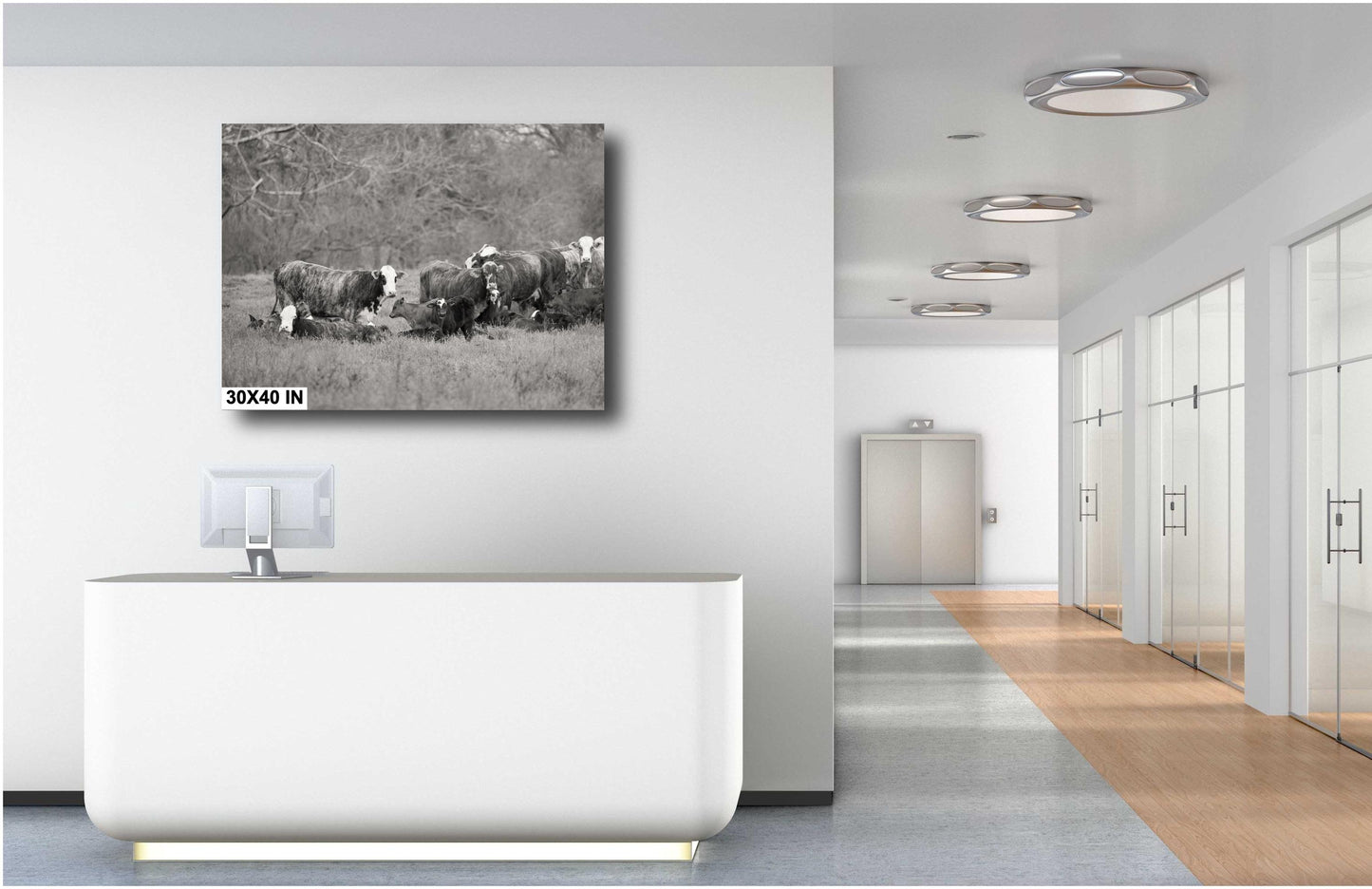 Country Wall Art - Rustic Black and White Cattle Photo Print - Cows & Calves Farm Art for Country Decor in Paper, Canvas, Acrylic or Metal