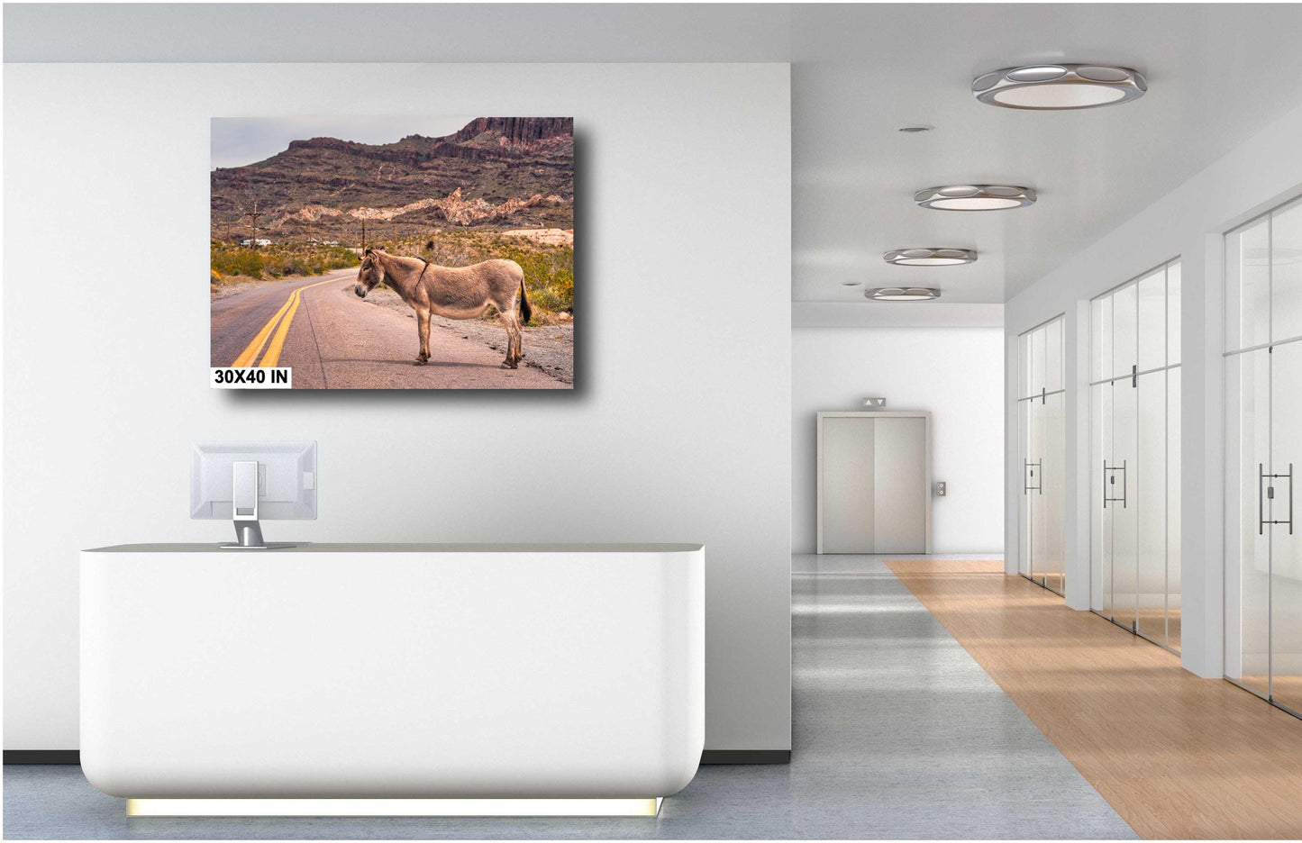 Route 66 Oatman Arizona Donkey Wall Art Print | Americana Desert Photography | Home Decor & Gifts